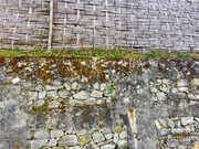 BBG&B17TezpurToBomdila - 12