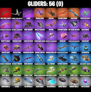 gliders-comp