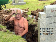 BernieDemocrat