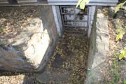 IMG-0278