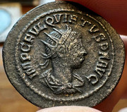 438300197-357631823983243-59381734432215