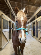 E866FFC2-16B5-4C2D-89A2-66E9224EBD95