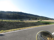 IMG-7724.jpg