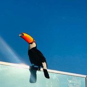 204388730_977872869652982_6529067582244498292_n