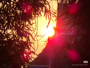 photo 12 2026 01 10 15 44 24