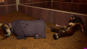 cow-on-cow3