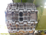 DSCN5320