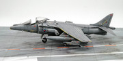 Harrier-3.jpg