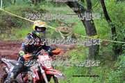 IMG-6353