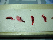 DSC00167.jpg