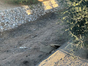 IMG-7539