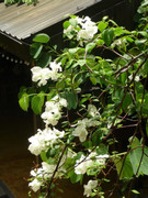 photo 29 2025 12 27 21 08 38