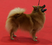 Kuva