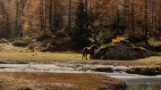 PA293096-2