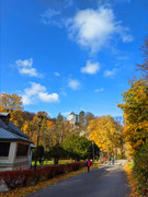 PXL_20211024_145725953