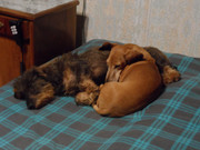 [Image: 29-oct-004.jpg]