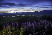 Denali hwy midnight (1 of 1)