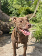 IMG_20230706_152018_684