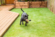 Best installation artificial turf AZ