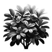 BW-element108
