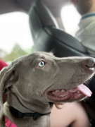 002FEB65-36E3-4EA9-A530-74D36A192BE9