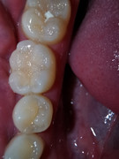 IMG-20210517-WA0027