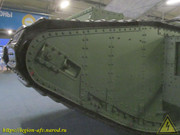IMG-6830