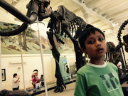 8c6b696af505b609b8ba440c520be332