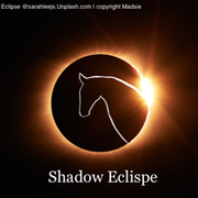 Horse avatar for Shadow