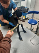 CBED0F7F-F808-4EB5-BA5A-81BE8CD0853C