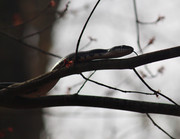 56921DAA-9D05-4D6D-BAE9-DD7B4F9FDC1A