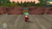 IMG-6305