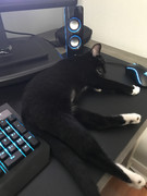 381D26AB-FEF9-4DAC-8FB4-D799712F0D53