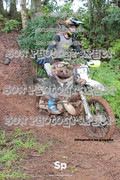 IMG-0318