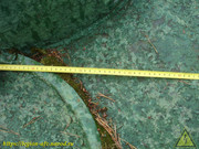 DSC03641