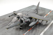 Harrier-8.jpg