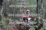 IMG-6595