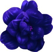 MVDLavender-Love-102