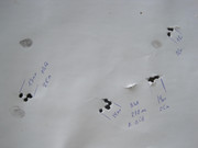 IMG_0079 - копия