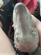 106DD261-ED87-4330-930E-5A0CA3490E6E