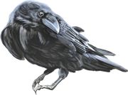 Pumpkinfairykitpudncrow