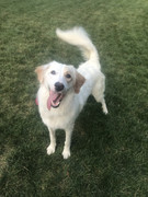 48A33344-534B-4C7C-84BB-1C48F4F4E6DC