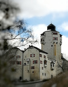 15 dvorac Friedberg (privatno vlasništvo)