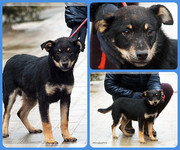 Be-Funky-collage-17.jpg&key=db3f61a371af