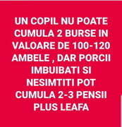 pir1