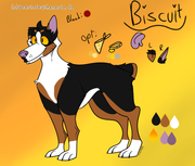 Untitled666_20210317010303