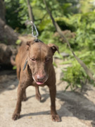 IMG_20230706_152054_978