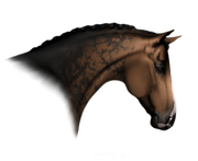 Untitled213-Restored4-20250113222719