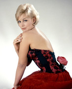 kim-novak-480