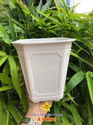 chau-nhua-a-dong (3)